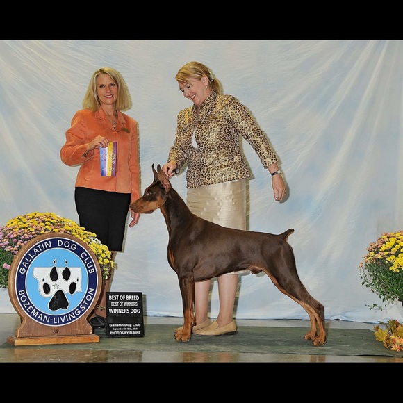 Meet your Posher, Carla - Picture 4 of 10